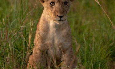 Kidepo Valley National Park