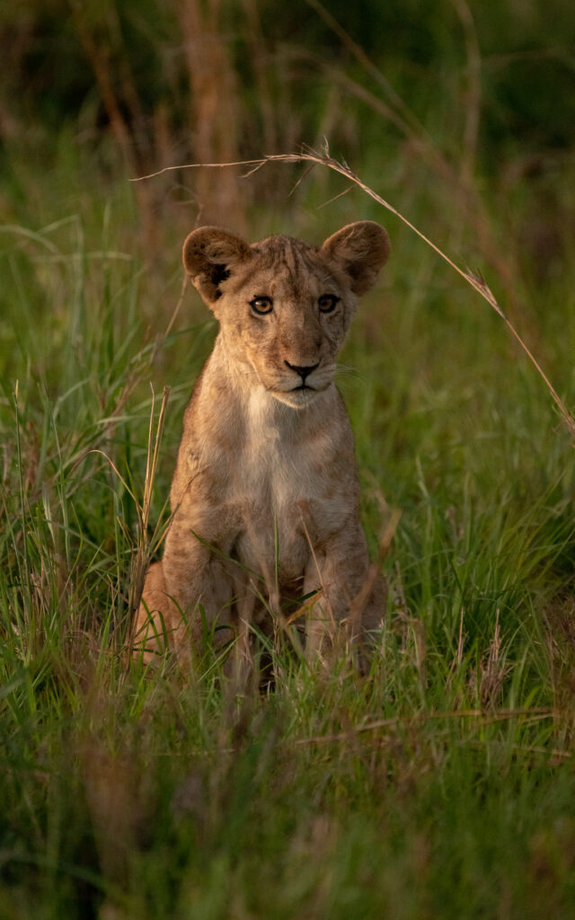 Kidepo Valley National Park