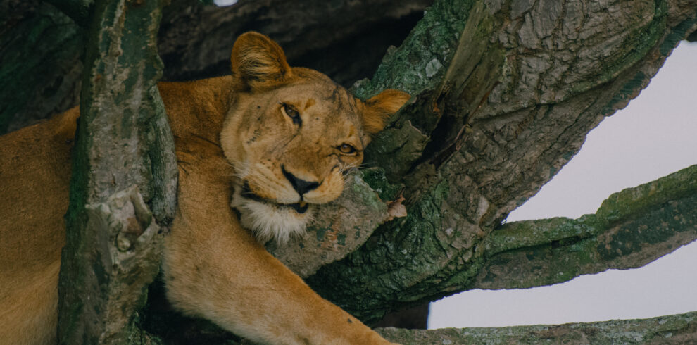 A012_C003_1120KJ