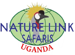 Nature Link Safaris