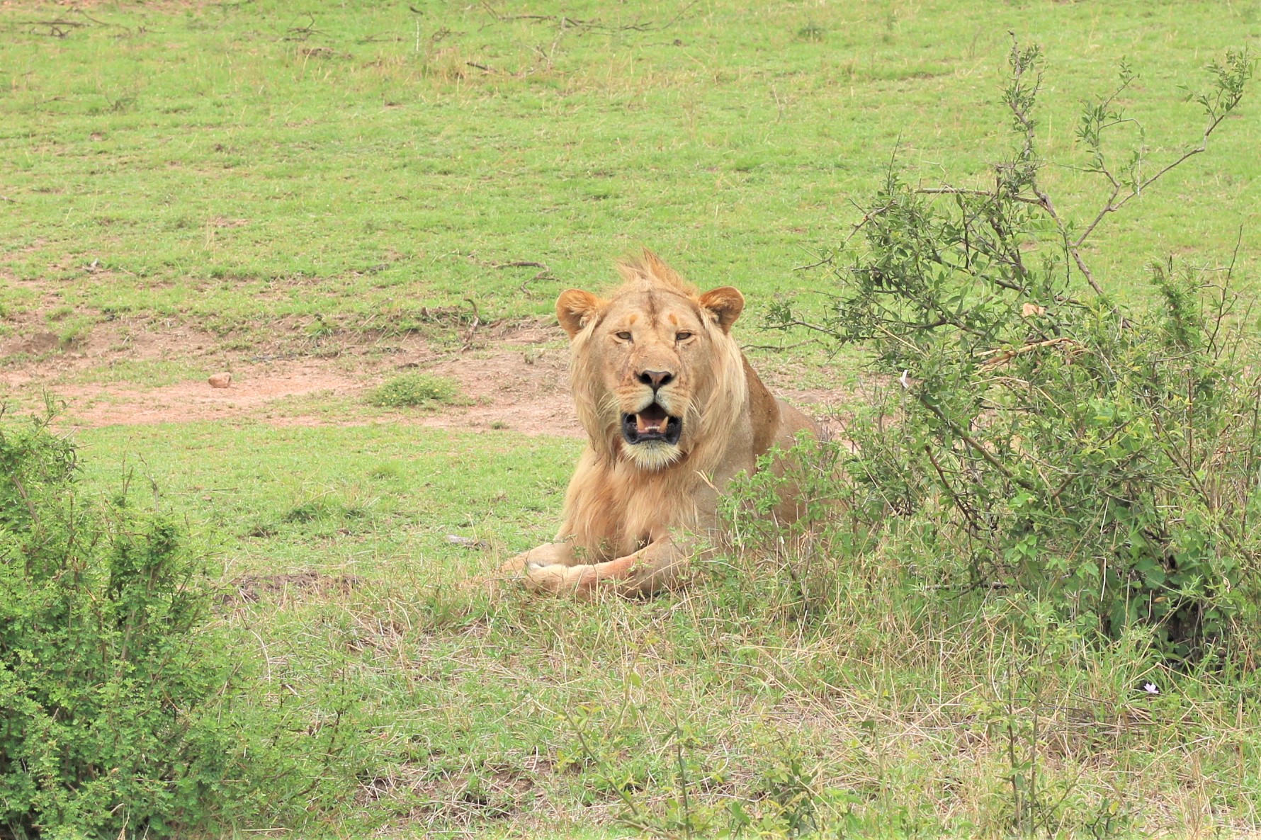 Simba Ngoro1