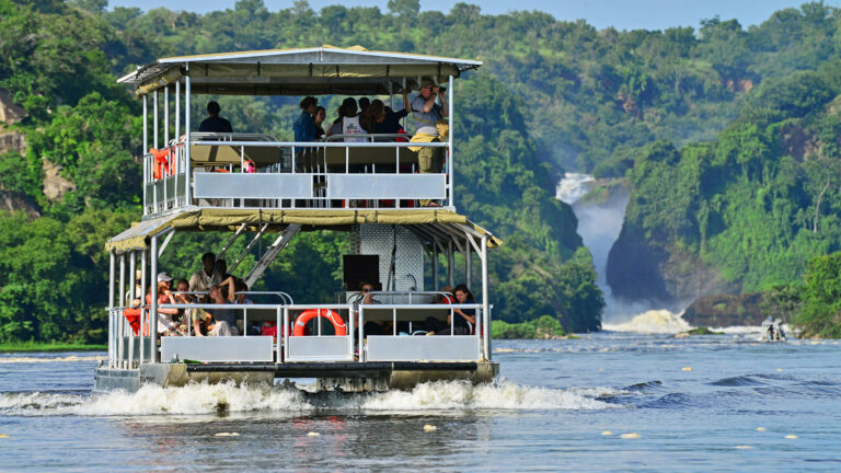 boat-cruise