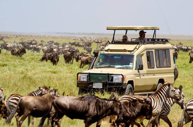 game-drive-serengeti
